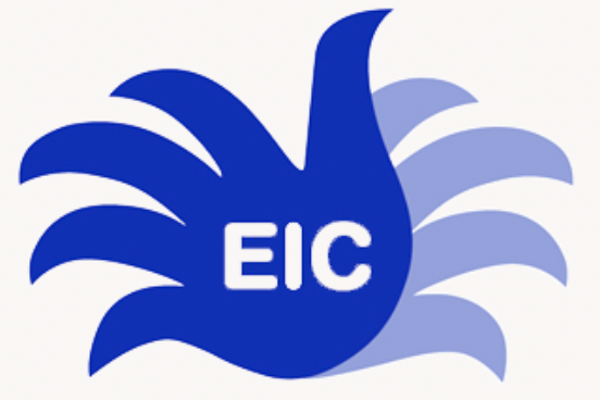 eic-logo-instalaciones-electricas-palma-j-rayo